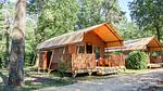 ExteriorSummer - Ferienwohnung für 6 Personen in Otterlo - Top-Hundeurlaub