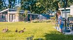 GardenSummer - Ferienhaus für 5 Personen (45 m²) in Kaatsheuvel - Top-Hundeurlaub