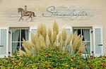 Hauptansicht - Strandreiter - Top-Hundeurlaub