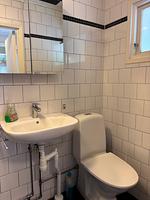 Badezimmer mit Dusche und WC im Hus Västerlyckan - Västerlyckan - Top-Hundeurlaub