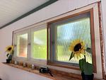 Fenster mit Blick in die Natur am Ferienhaus Hus Älmtamåla in Blekinge - Hus Älmtamåla - Top-Hundeurlaub