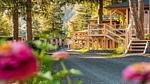 Untagged - Ferienhaus für 2 Personen (25 m²) in Presseggen - Top-Hundeurlaub