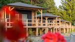 Untagged - Ferienhaus für 2 Personen (25 m²) in Presseggen - Top-Hundeurlaub