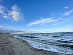 Strand - City Blick - Top-Hundeurlaub
