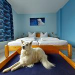 Ferienwohnung mit eigenem eingezäunten Garten - Top-Hundeurlaub