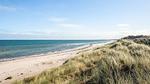 WaterView - Ferienhaus für 5 Personen (50 m²) in Læsø - Top-Hundeurlaub