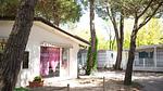 ExteriorSummer - Mobilheim für 4 Personen (32 m²) in Cesenatico - Top-Hundeurlaub