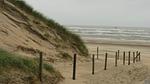 AreaSummer5KM - Ferienhaus für 4 Personen (52 m²) in Noordwijk aan Zee - Top-Hundeurlaub