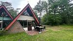 ExteriorSummer - Ferienhaus für 7 Personen (75 m²) in Stramproy - Top-Hundeurlaub