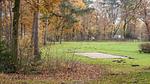 GardenSummer - Ferienhaus für 7 Personen (75 m²) in Stramproy - Top-Hundeurlaub