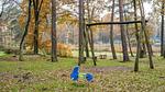 GardenSummer - Ferienhaus für 7 Personen (75 m²) in Stramproy - Top-Hundeurlaub