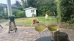 Ferienhaus für 6 Personen (70 m²) in Sint Maartensvlotbrug - Top-Hundeurlaub