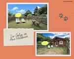 Hundeparadies Eifel Ferienhaus Wolfsbüsch - Top-Hundeurlaub