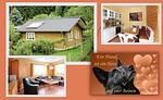 Hundeparadies Eifel Ferienhaus Wolfsbüsch - Top-Hundeurlaub