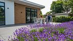 TerraceBalcony - Ferienhaus für 4 Personen in Noordwijk aan Zee - Top-Hundeurlaub