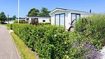 ExteriorSummer - Ferienhaus für 4 Personen in Noordwijk aan Zee - Top-Hundeurlaub