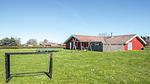 Outdoor - Ferienhaus für 13 Personen (150 m²) in Nordborg - Top-Hundeurlaub
