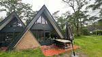 ExteriorSummer - Ferienhaus für 7 Personen (80 m²) in Stramproy - Top-Hundeurlaub