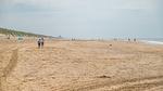 AreaSummer5KM - Ferienhaus für 4 Personen (41 m²) in Noordwijk aan Zee - Top-Hundeurlaub