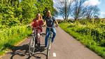 AreaSummer1KM - Ferienhaus für 6 Personen (65 m²) in Noordwijk aan Zee - Top-Hundeurlaub
