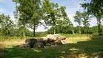 image/jpeg - Ferienhaus für 12 Personen (190 m²) in Diever - Top-Hundeurlaub