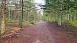Untagged - Ferienhaus für 7 Personen (120 m²) in Ålbæk - Top-Hundeurlaub