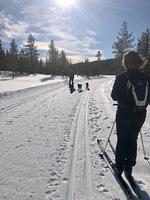 Ferienhaus Jelden mit Sauna, Ofen, Ski Lift & Sandstrand in der Nähe - Top-Hundeurlaub