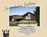 Naturhaus Dachsbüsch mit eingezäuntem Garten - Top-Hundeurlaub