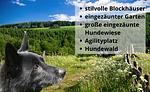 Naturhaus Dachsbüsch mit eingezäuntem Garten - Top-Hundeurlaub