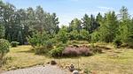 image/jpeg - Ferienhaus für 8 Personen (182 m²) in Silkeborg - Top-Hundeurlaub