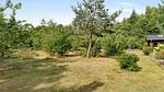 image/jpeg - Ferienhaus für 8 Personen (182 m²) in Silkeborg - Top-Hundeurlaub