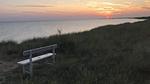 Outdoor - Ferienhaus für 9 Personen (129 m²) in Væggerløse - Top-Hundeurlaub