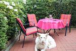 Terrasse - Haus Antje - Top-Hundeurlaub