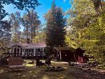 Ruhiger Außenbereich des Hus Flåten im Wald in Småland - Hus Flåten - Top-Hundeurlaub