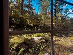 Blick in die Natur rund um Hus Flåten bei Järnforsen - Hus Flåten - Top-Hundeurlaub