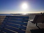 Strand - 2-53 - Top-Hundeurlaub