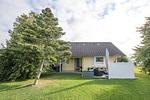 Friesenkrabbe - Top-Hundeurlaub