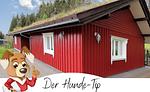 Haus Biberbüsch in der Eifel - Top-Hundeurlaub
