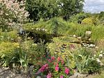 Garten - Reethaus Vilmnitz - Fewo "Muglitz" - Top-Hundeurlaub