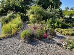 Garten - Reethaus Vilmnitz - Fewo "Muglitz" - Top-Hundeurlaub