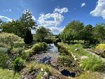 Garten - Reethaus Vilmnitz - Fewo "Muglitz" - Top-Hundeurlaub