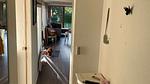 image/jpeg - Ferienhaus für 5 Personen (76 m²) in Rødby - Top-Hundeurlaub