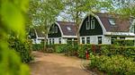 AreaSummer1KM - Ferienhaus für 4 Personen (67 m²) in Schoorl - Top-Hundeurlaub