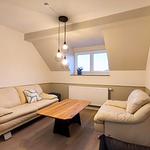 Traum-Urlaub im Ferienhaus Adlerbüsch - Top-Hundeurlaub