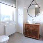 Traum-Urlaub im Ferienhaus Adlerbüsch - Top-Hundeurlaub