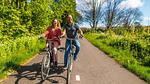 AreaSummer5KM - Ferienhaus für 5 Personen (48 m²) in Noordwijk aan Zee - Top-Hundeurlaub