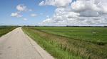 AreaSummer20KM - Ferienhaus für 5 Personen (35 m²) in Velsen-Zuid - Top-Hundeurlaub