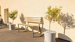 image/jpeg - Ferienhaus für 10 Personen (110 m²) in Lessay - Top-Hundeurlaub