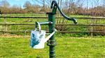 image/jpeg - Ferienhaus für 10 Personen (110 m²) in Lessay - Top-Hundeurlaub