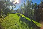 Idyllisches kleines Ferienhaus am Hochufer von Lohme - Top-Hundeurlaub